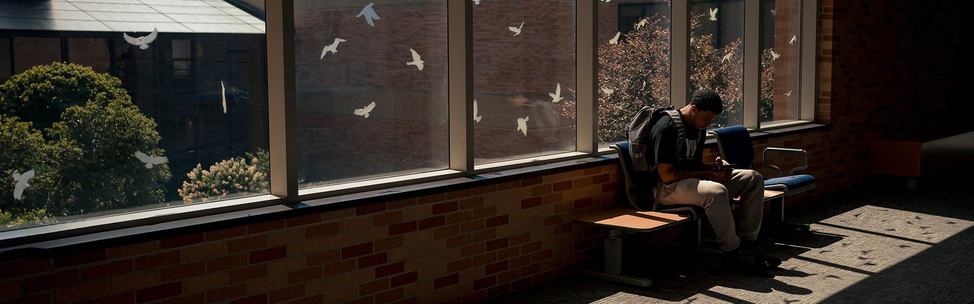 Student sitting on a chair next to a window