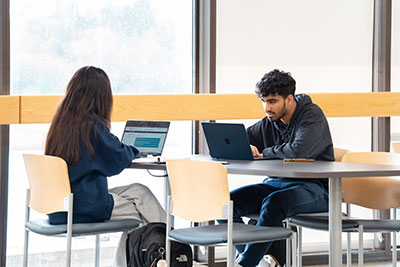 Two students on laptops, working, near bright window