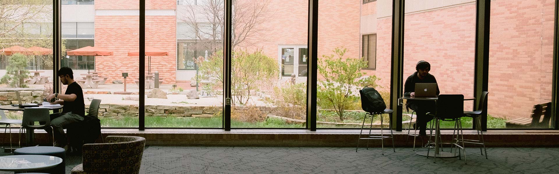 students studying at college