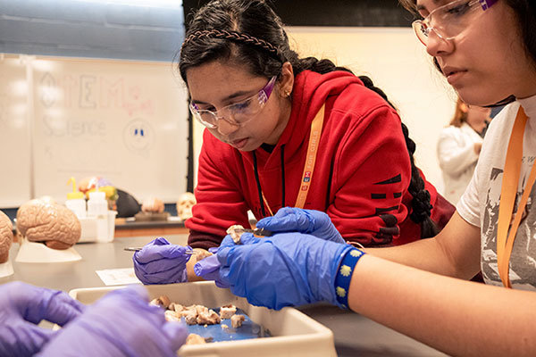 Girls working on a science project together