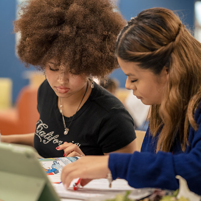 Two female students studying intently